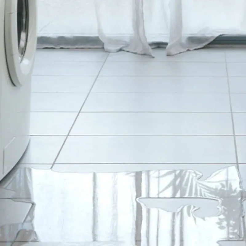 Appliance Leak Cleanup in Geneva, IL