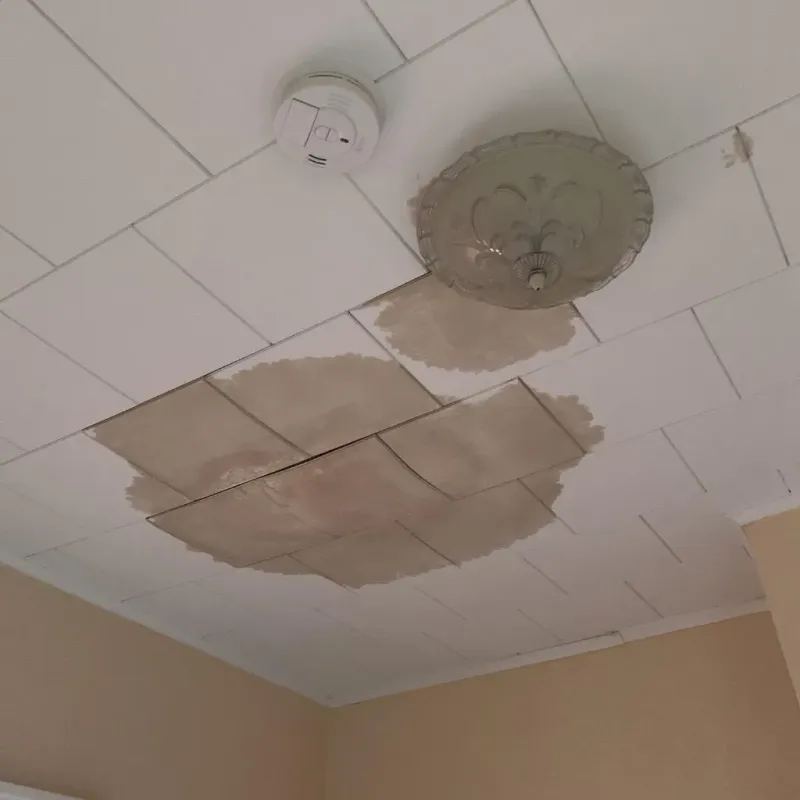 Ceiling Water Damage Repair in Geneva, IL